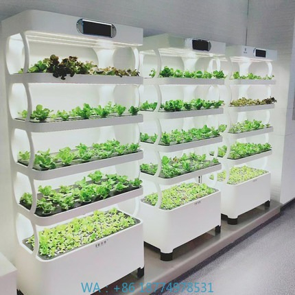 Sistema de cultivo automatizad - Home Automation Diy reseña y precio